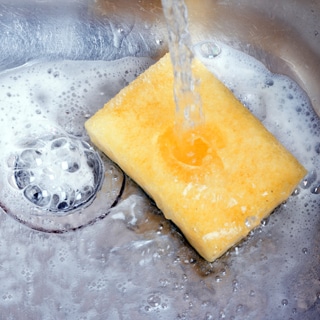 اسفنجة المطبخ اسفنجة المطبخ