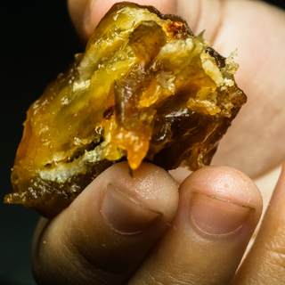 يقيك من الالتهابات يقيك من الالتهابات