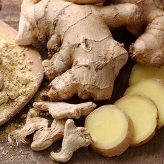 الزنجبيل الزنجبيل