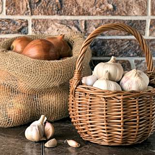 البصل والثوم البصل والثوم