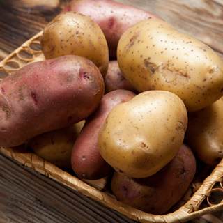 البطاطا البطاطا