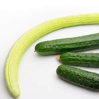 يعالج مشاكل الجهاز الهضمي يعالج مشاكل الجهاز الهضمي