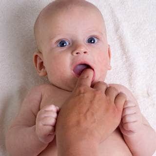 تدليك اللثة ومنطقة الألم تدليك اللثة ومنطقة الألم