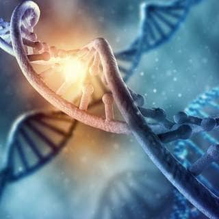 احمي الحمض النووي الخاص بك احمي الحمض النووي الخاص بك