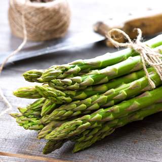 الهليون الهليون