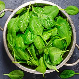 سبانخ سبانخ