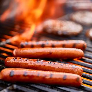 اللحوم اللحوم