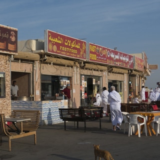 مشاكل في الجهاز الهضمي مشاكل في الجهاز الهضمي