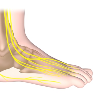 تلف الاعصاب تلف الاعصاب