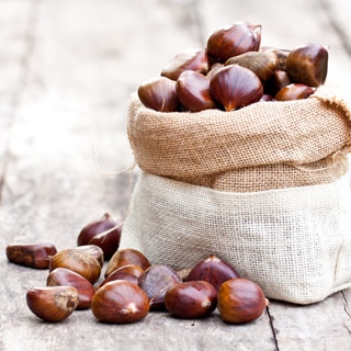 فوائد الكستناء الصحية فوائد الكستناء الصحية