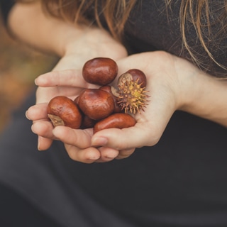 تقوي المناعة تقوي المناعة