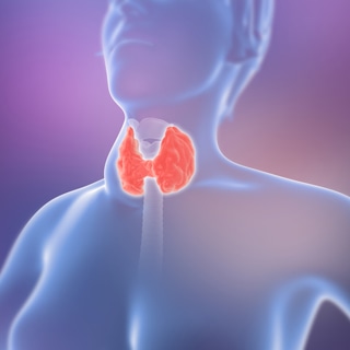 مخاطر نقص اليود مخاطر نقص اليود