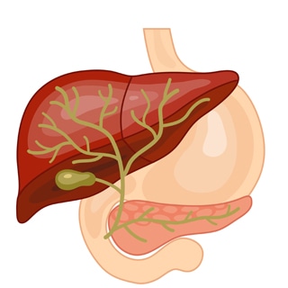 ما هو سرطان القناة الصفراوية؟ ما هو سرطان القناة الصفراوية؟