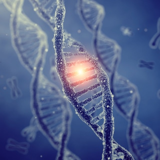 الاسباب الاسباب