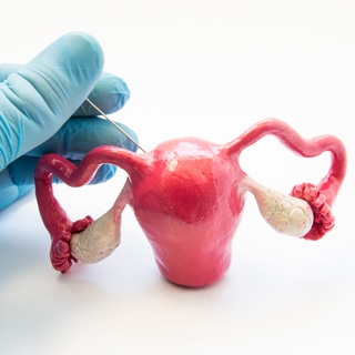 ما هي بطانة الرحم ما هي بطانة الرحم