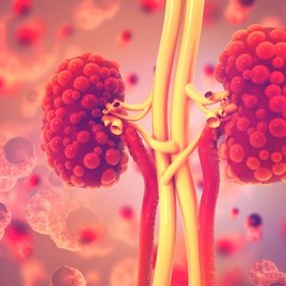 مرض الكلى المتعدد الكيسات مرض الكلى المتعدد الكيسات