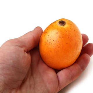 مفيدة لصجة الجلد مفيدة لصجة الجلد