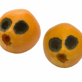 تحسن الرؤية تحسن الرؤية