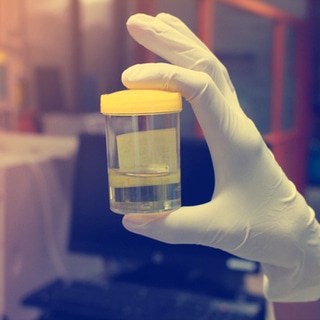 يحفز تدفق البول يحفز تدفق البول