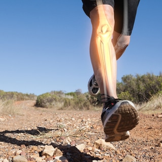 يزيد من كثافة العظام وقوة المفاصل يزيد من كثافة العظام وقوة المفاصل