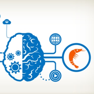 يعزز صحة الدماغ يعزز صحة الدماغ