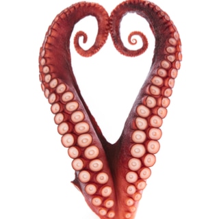 الحفاظ على صحة القلب الحفاظ على صحة القلب