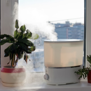 أجهزة الترطيب والبخار أجهزة الترطيب والبخار