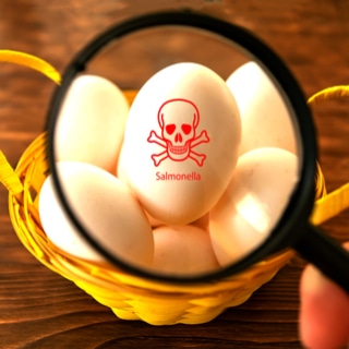 اضرار البيض