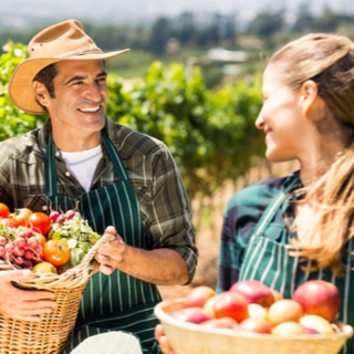 الخضار والفواكه الموسمية وأهميتها الخضار والفواكه الموسمية وأهميتها