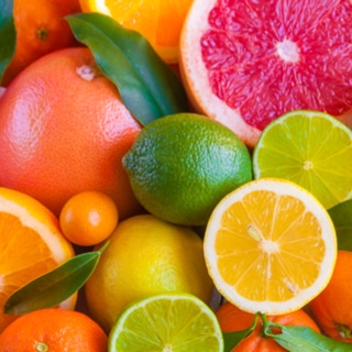 الحمضيات - الشتاء الحمضيات - الشتاء