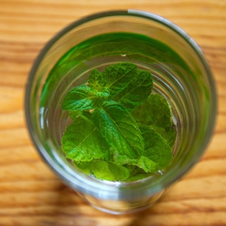 شاي النعناع يوازن الهرمونات شاي النعناع يوازن الهرمونات