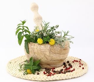 الاعشاب الطبية الاعشاب الطبية