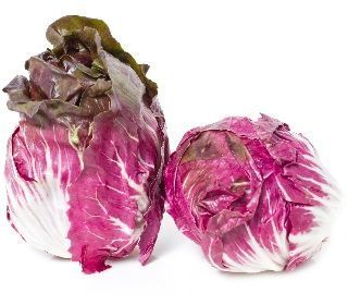 الهندباء الهندباء