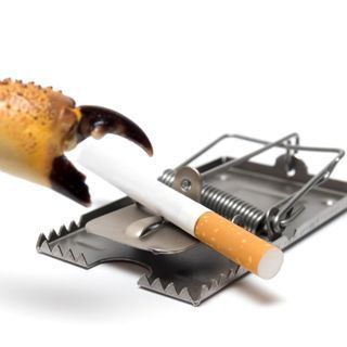 التدخين والسرطان التدخين والسرطان