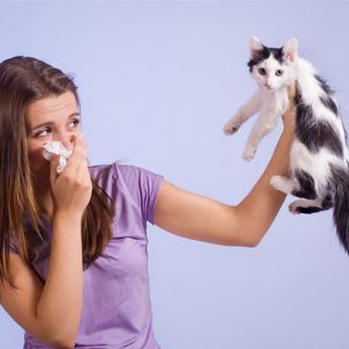 تجنب المستارجات تجنب المستارجات