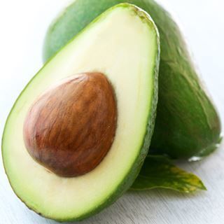 بذرة الافوكادو بذرة الافوكادو