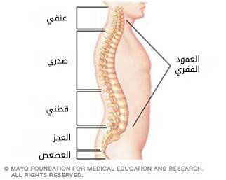 مبنى الظهر مبنى الظهر