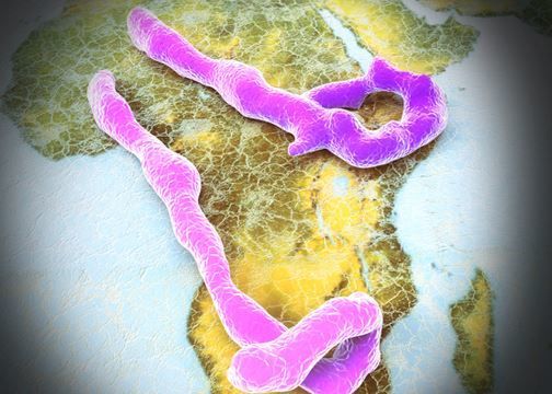 المناطق التي تنتشر فيها الايبولا المناطق التي تنتشر فيها الايبولا