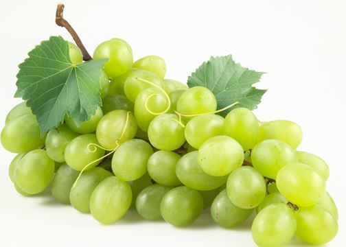 قناع العنب قناع العنب