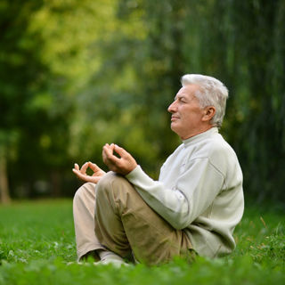 النشاط الفسيولوجي النشاط الفسيولوجي