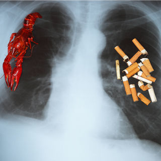 التدخين التدخين