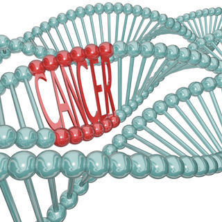 التاريخ العائلي التاريخ العائلي