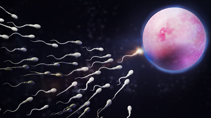 طبابة نت - انخفاض الحيوانات المنوية