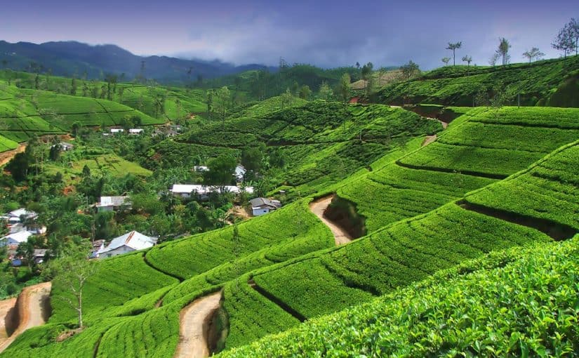 sri-lanka-825x510-2 السياحة في سيرلانكا