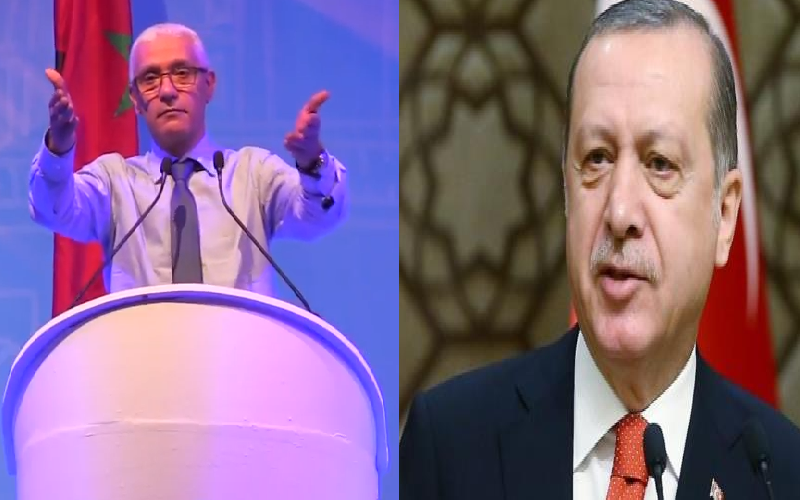 talbi-1 استمرار حملة استنكار تصريحات الوزير الطالبي العلمي ضد أردوغان