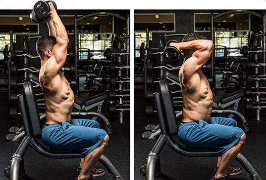 تمرين تراي بالدمبل تمرين تراي بالدمبل