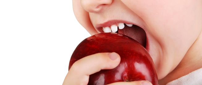 tbl_articles_article_108_405 كيف أحافظ على أسنان طفلي؟