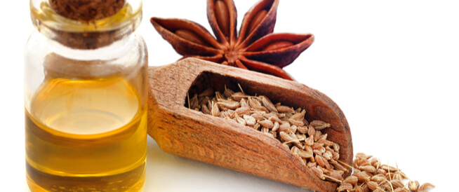 tbl_articles_article_21815_955abef53a7-0ff9-4a58-8002-b3a3e46a254a اليانسون للحامل