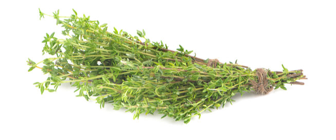 فوائد الزعتر الأخضر: تعرف عليها