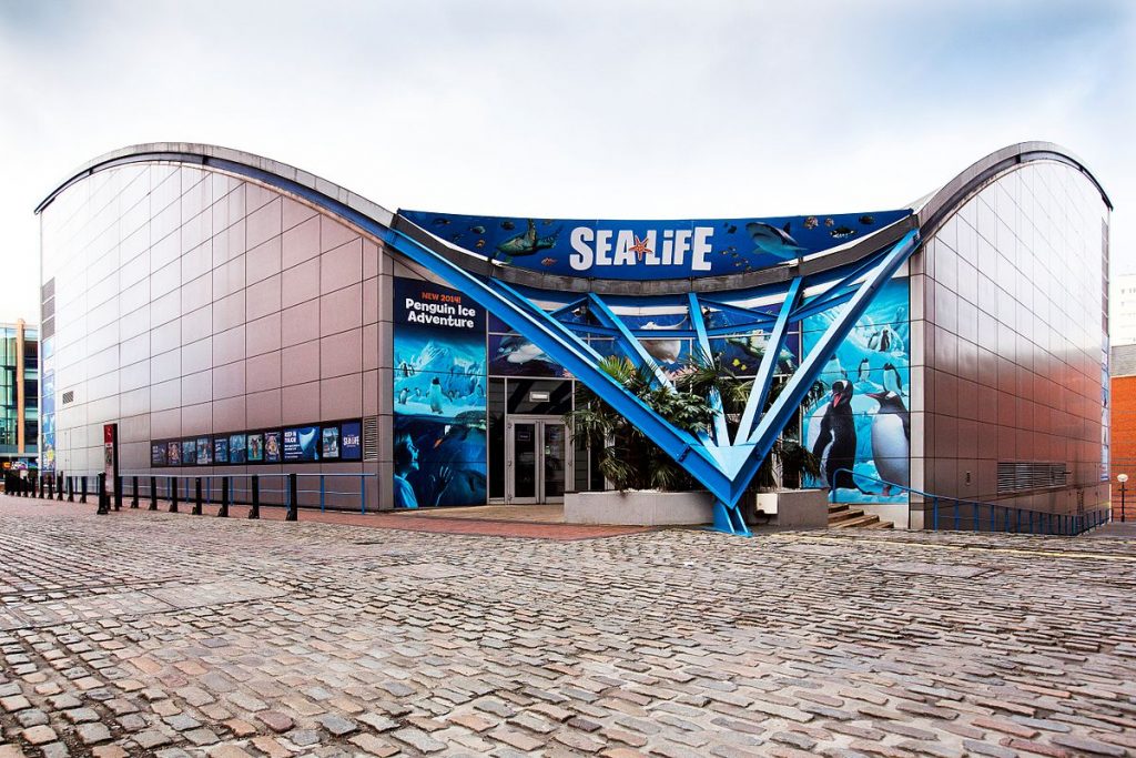 the_national_sea_life_centre_birmingham